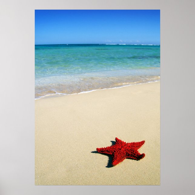 Red Starfish On White Sand Beach Poster (Front)
