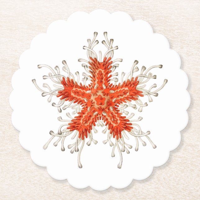 Red starfish paper coaster (Front)
