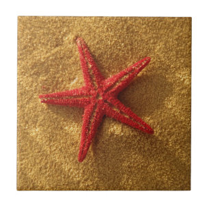 red starfish tile