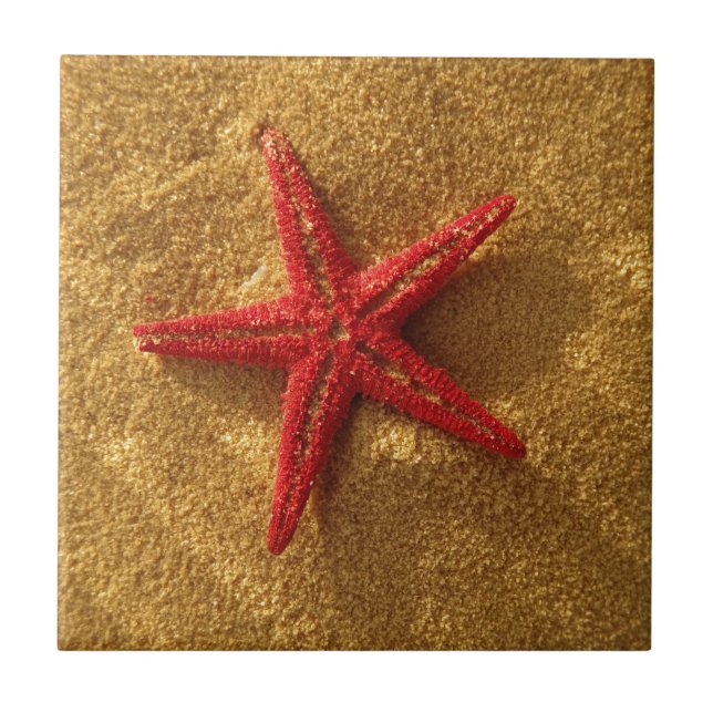 red starfish tile (Front)