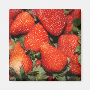 red strawberry fruits magnet