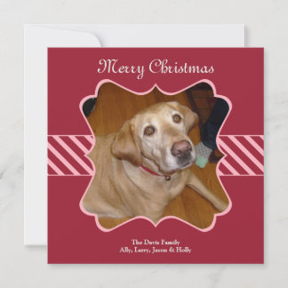 Red stripe Christmas holiday photo greeting card