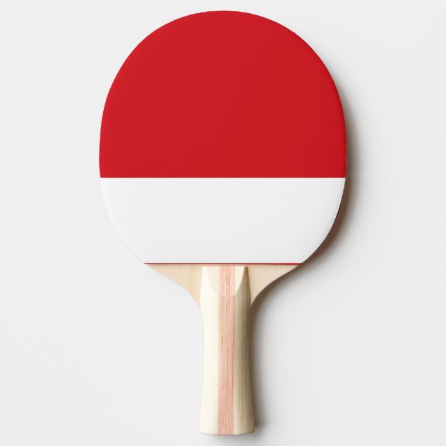 Red striped ping pong paddle (Front)