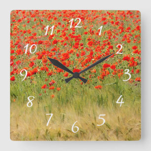 red summer flower clock