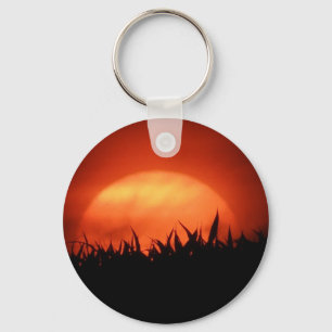 Red sundown behind black grass key ring
