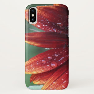 Red Sunflower Petals And Rain Drops iPhone X Case