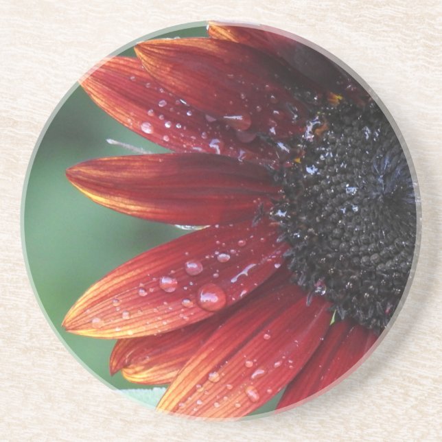 Red Sunflower Petals And Rain Drops Coaster (Front)