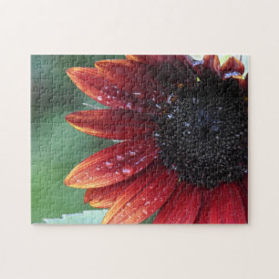 Red Sunflower Petals And Rain Drops Jigsaw Puzzle