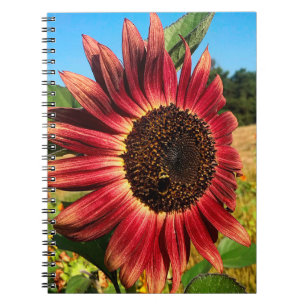 Red Sunflower with Bee Notebook