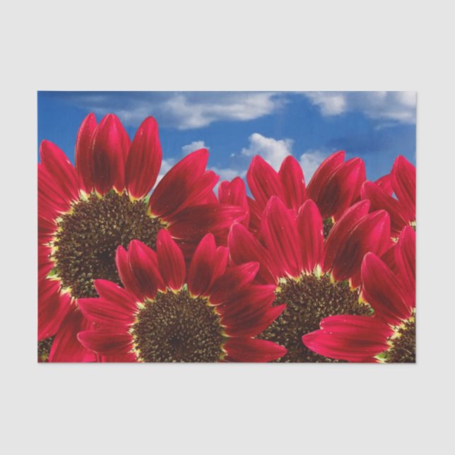 Red Sunflowers and Blue Skies - Tissue Paper (Front)