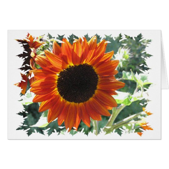Red Sunflowers Greeting Card