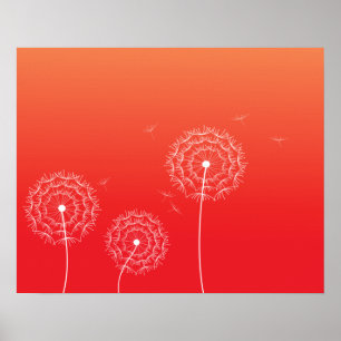 Red Sunset dandelion in spring Poster