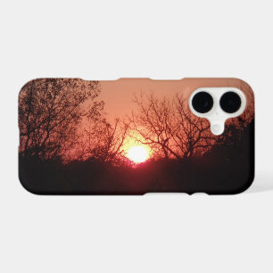 Red Sunset Silhouette