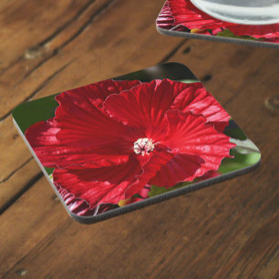 Red Swamp Hibiscus Bloom Floral Coaster