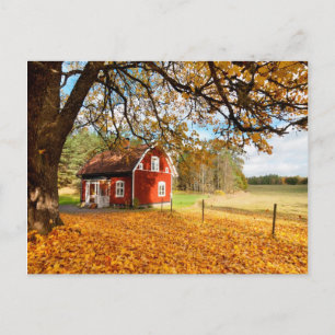 Red Swedish House Amongst Autumn Leaves Postcard