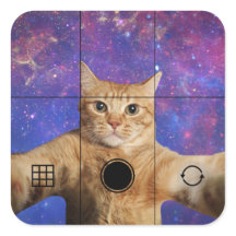 Red Tabby Cat Taking a Selfie in Space