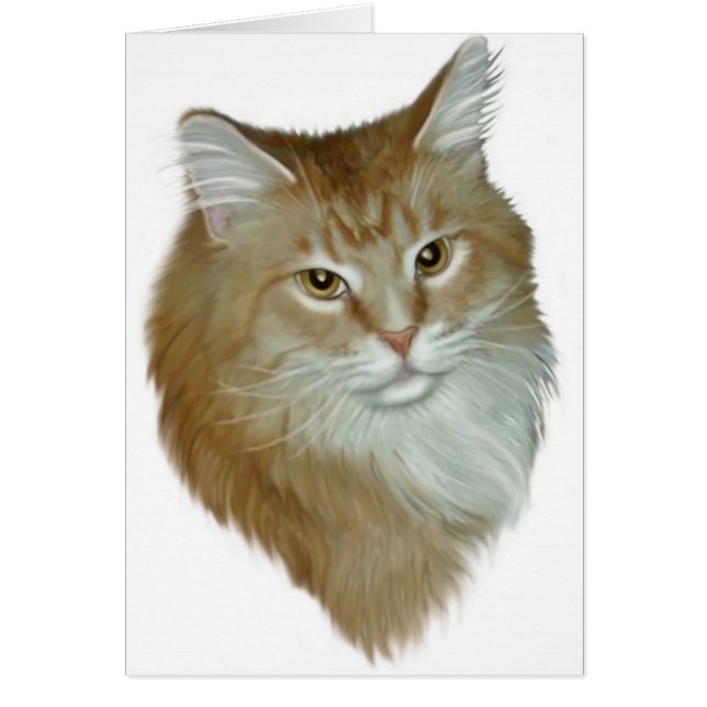 Red Tabby Maine Coon (Front)