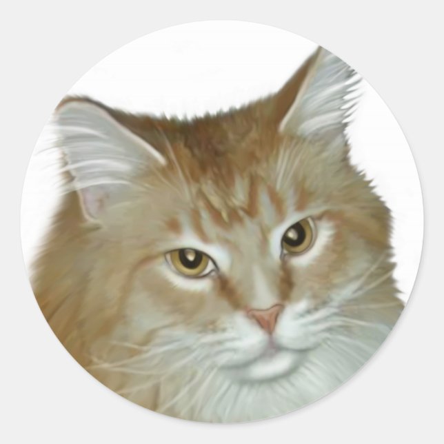 Red Tabby Maine Coon Classic Round Sticker (Front)