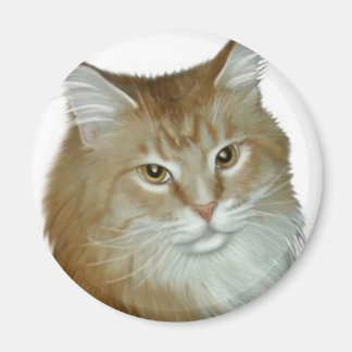 Red Tabby Maine Coon Magnet
