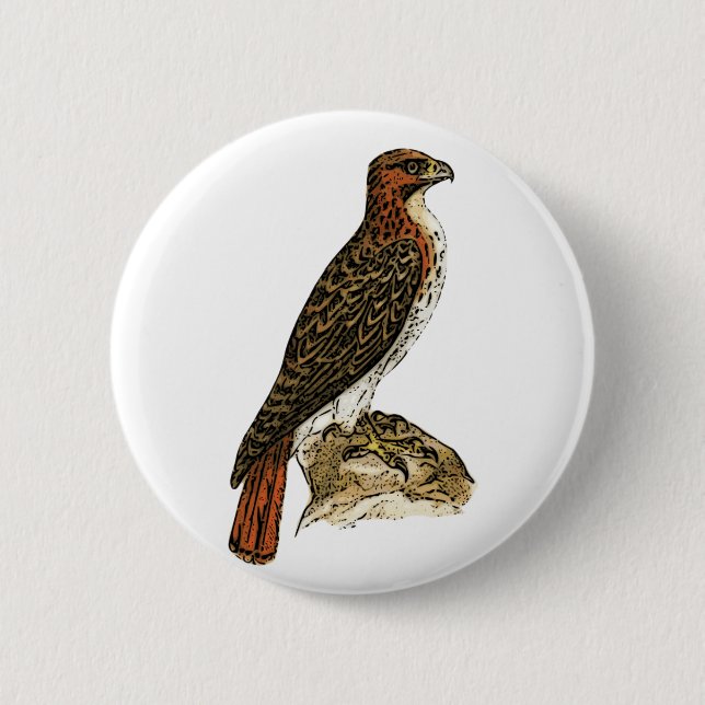 Red Tail Hawk 6 Cm Round Badge (Front)