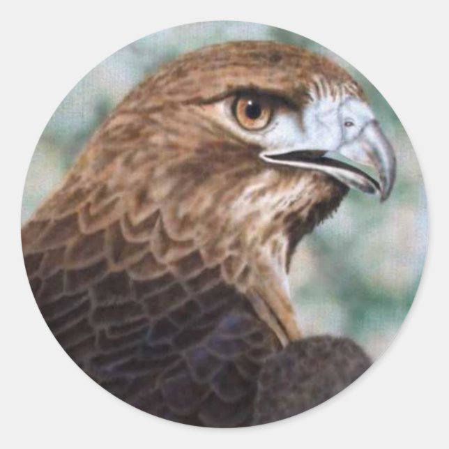 Red-tail Hawk airbrush Classic Round Sticker (Front)