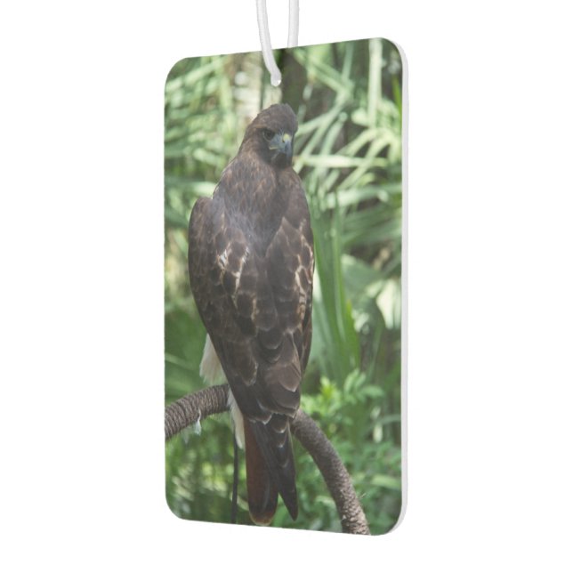 Red Tail Hawk Bird Car Air Freshener (Left)