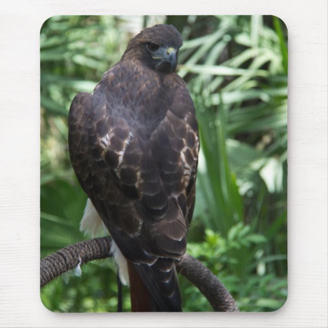 Red Tail Hawk Bird Mousepad (Front)