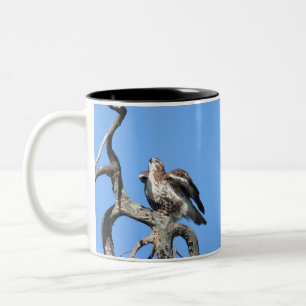 Red Tail Hawk, Bird Of Prey Two-Tone Coffee Mug