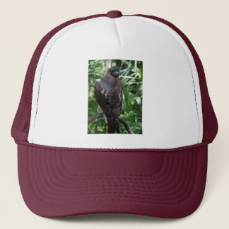 Red Tail Hawk Bird Trucker Hat