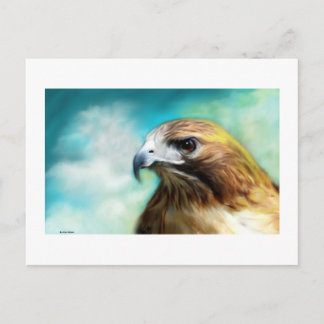 Red Tail Hawk Card