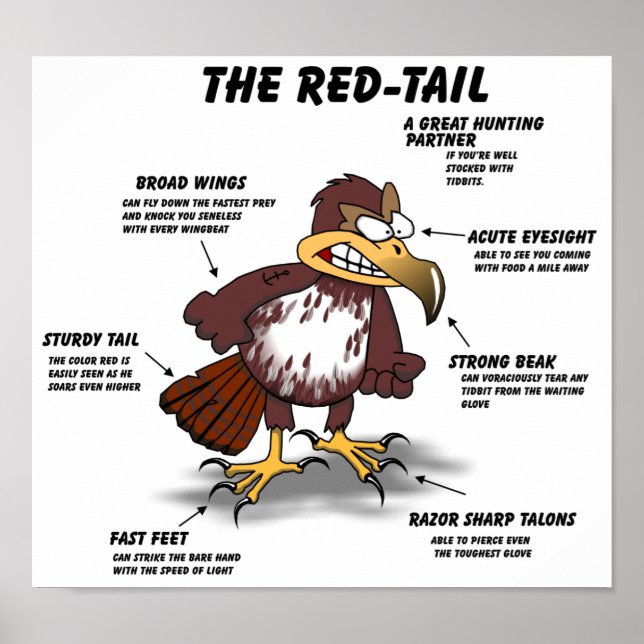 Red-tail Hawk Cartoon Poster (Front)