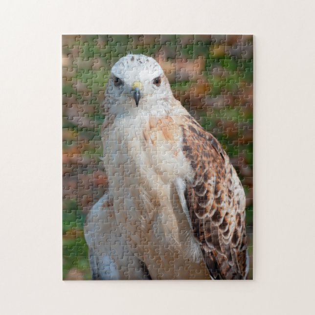 Red Tail Hawk Closeup Jigsaw Puzzle (Vertical)