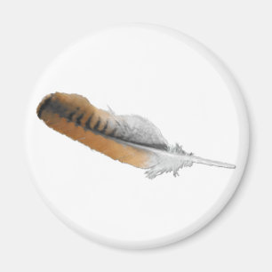 Red-tail Hawk feather Magnet