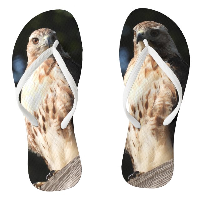 Red Tail Hawk Flip Flops (Footbed)