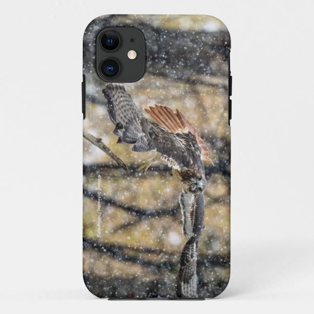 Red Tail Hawk in the Snow iPhone Case (Back)