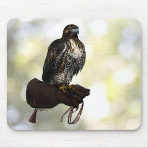 Red-tail Hawk on Glove Mouse Mat