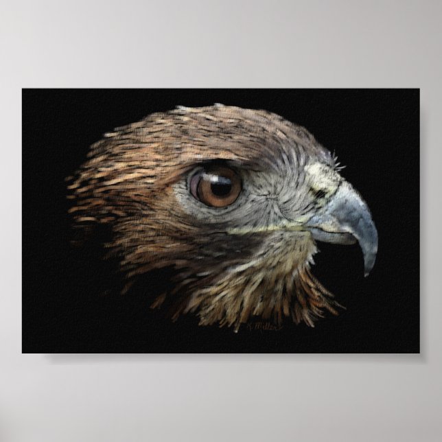 Red-tail Hawk pastel Poster (Front)