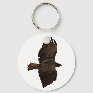 Red-tail sketch key ring