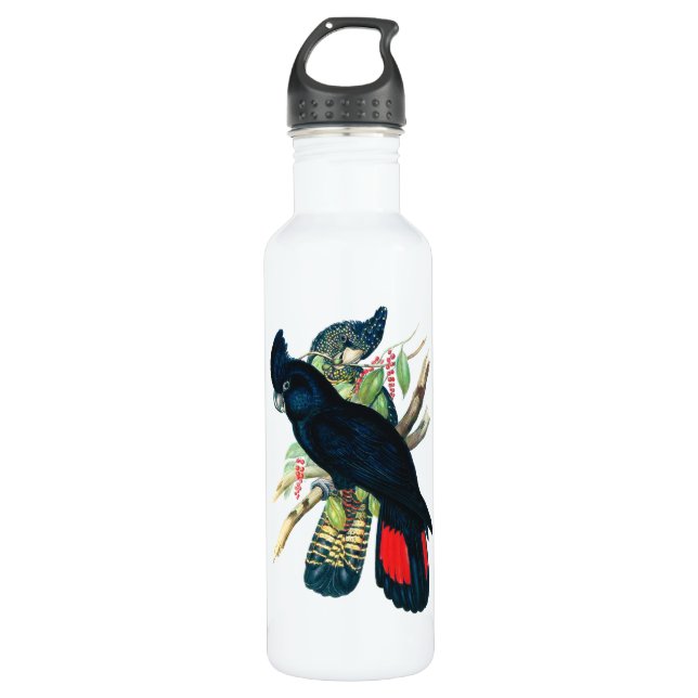 Red tailed, Black (Banksian) Cockatoos. 710 Ml Water Bottle (Front)