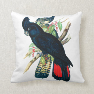 Red tailed, Black (Banksian) Cockatoos. Cushion
