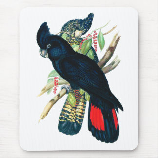 Red tailed, Black (Banksian) Cockatoos. Mouse Mat