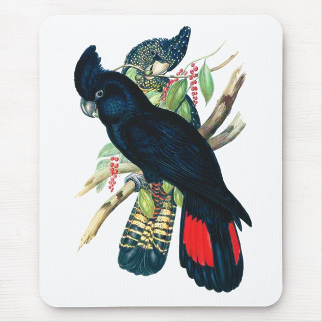 Red tailed, Black (Banksian) Cockatoos. Mouse Mat (Front)