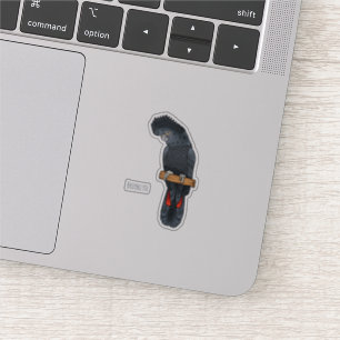 Red-tailed black cockatoo bird cartoon