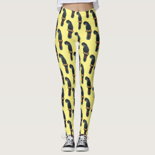 Red-tailed black cockatoo bird cartoon leggings