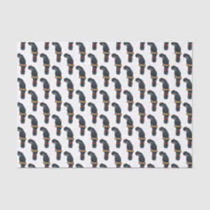 Red-tailed black cockatoo bird cartoon  tissue paper