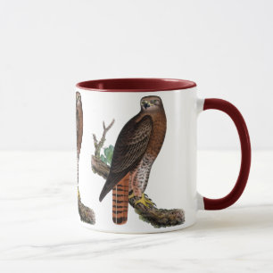 Red-tailed Black Hawk Mug