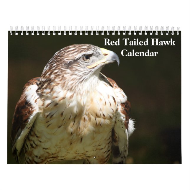 Red Tailed Hawk 2023 Calendar (Cover)