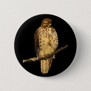 Red Tailed Hawk 6 Cm Round Badge