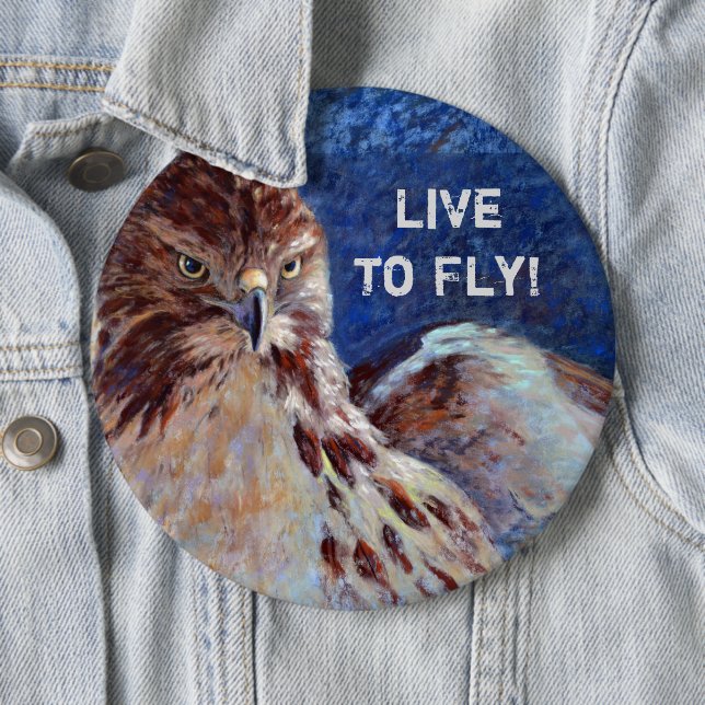 Red Tailed Hawk 6 Cm Round Badge (In Situ)