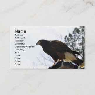 Red Tailed Hawk Against a Blue Sky Business Sky Card